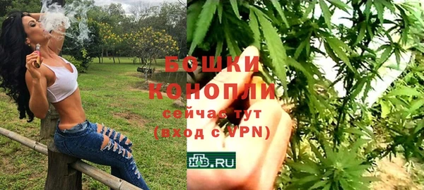 дживик Баксан