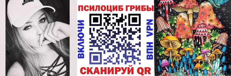 Псилоцибиновые грибы Psilocybine cubensis  мега как войти  Зарайск 
